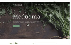 Medooma Alternative Medicine Joomla Template
